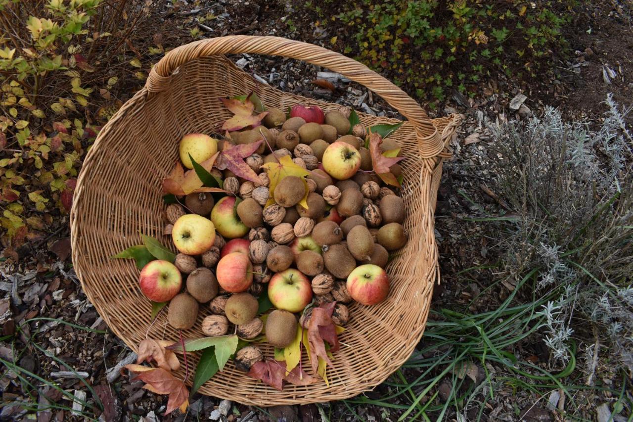 Limelette Le Verger Du Patagon المظهر الخارجي الصورة